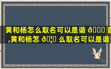 黄和杨怎么取名可以是谐 🐅 音,黄和杨怎 🦋 么取名可以是谐音梗的名字